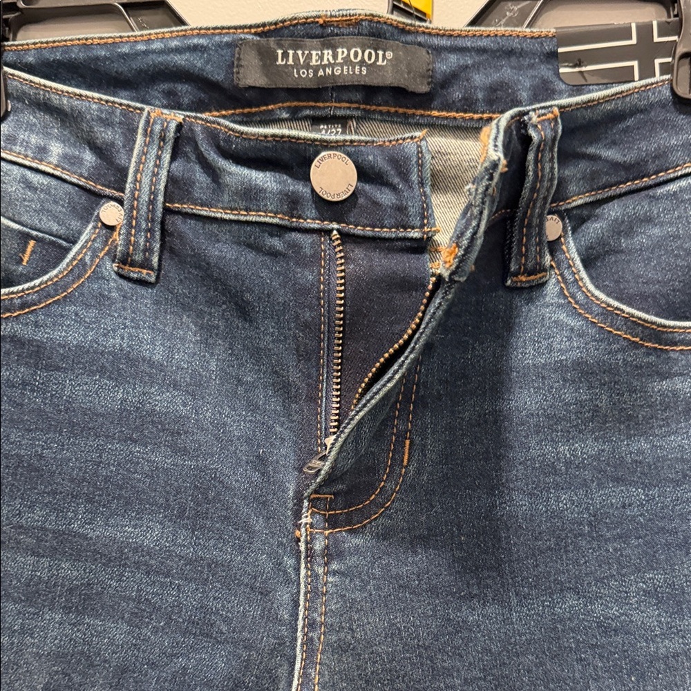 Liverpool Liv Skinny Non Skinny Jean | Sz 4 - Picture 4 of 7